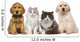 Group of pets: kitten and puppy on a raw Wall Decal