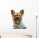 Happy Yorkshire Terrier Wearing