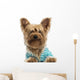 Happy Yorkshire Terrier Wearing