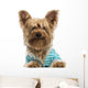 Happy Yorkshire Terrier Wearing