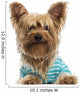 Happy Yorkshire Terrier Wearing