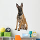 Belgian Shepherd Dog Wall Decal