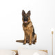 German Shepherd Dog (18 Months Old) Wall Decal