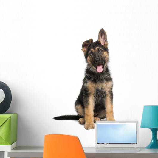 German Shepherd Dog puppy Wall Decal