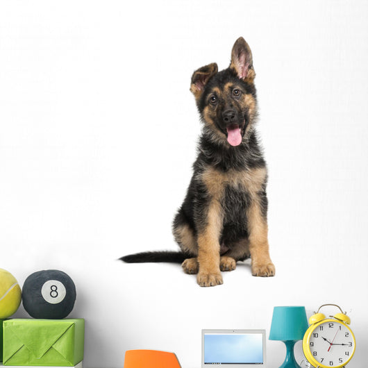 German Shepherd Dog puppy Wall Decal