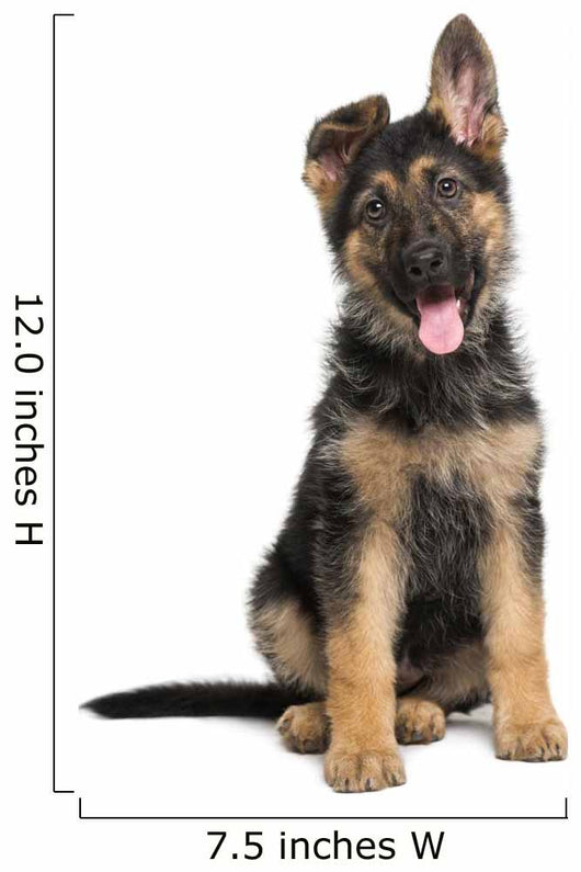 German Shepherd Dog puppy Wall Decal
