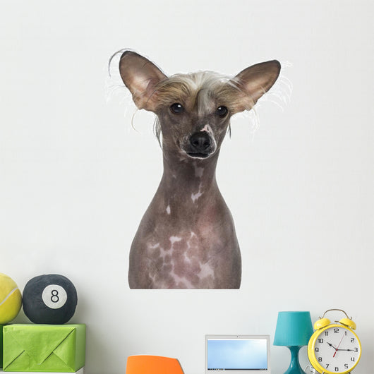 Hairless Chinese Crested Dog Wall Decal