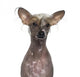 Hairless Chinese Crested Dog Wall Decal