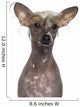 Hairless Chinese Crested Dog Wall Decal