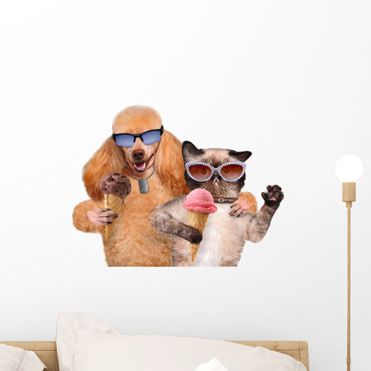 Dog with Cat Eat