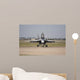 Fa18 Super Hornet Face Wall Mural