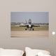 Fa18 Super Hornet Face Wall Mural