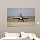 Fa18 Super Hornet Face Wall Mural