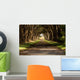 cypress tree tunnel Wall Mural