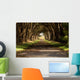 cypress tree tunnel Wall Mural