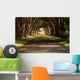 cypress tree tunnel Wall Mural