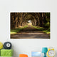 cypress tree tunnel Wall Mural