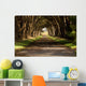 cypress tree tunnel Wall Mural