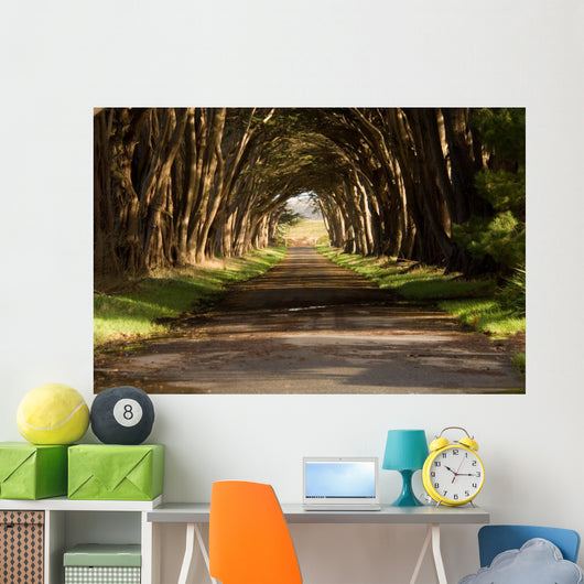 cypress tree tunnel Wall Mural