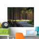 Forest Road Wall Decal