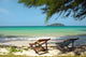 Tropical Beach