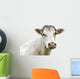 Funny Cow Head Portrait