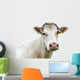 Funny Cow Head Portrait