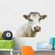 Funny Cow Head Portrait