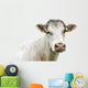 Funny Cow Head Portrait