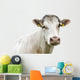 Funny Cow Head Portrait