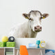 Funny Cow Head Portrait