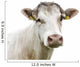 Funny Cow Head Portrait