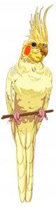 white cockatiel Wall Decal