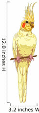 white cockatiel Wall Decal