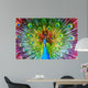Peacock with Feathers Spread