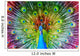 Peacock with Feathers Spread