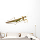 Side View of Brown and Green Praying Mantis Wall Decal