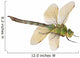 Dragonfly Anax Imperator Female