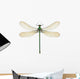 Dragonfly Calopteryx Syriaca Female