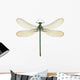 Dragonfly Calopteryx Syriaca Female