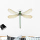 Dragonfly Calopteryx Syriaca Female