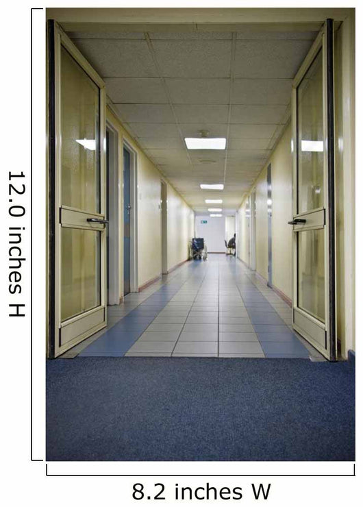 Hospital Hallway