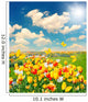 Tulip Flowers Field with