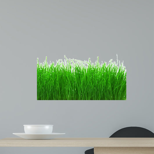 Green Meadow