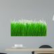 Green Meadow