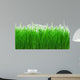 Green Meadow