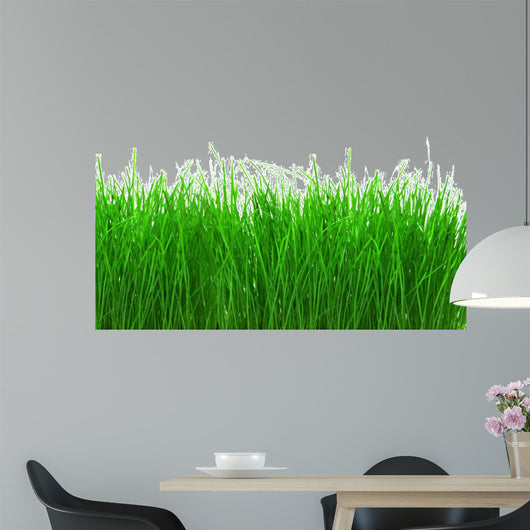 Green Meadow