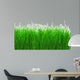 Green Meadow