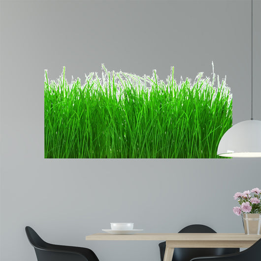 Green Meadow