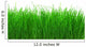 Green Meadow